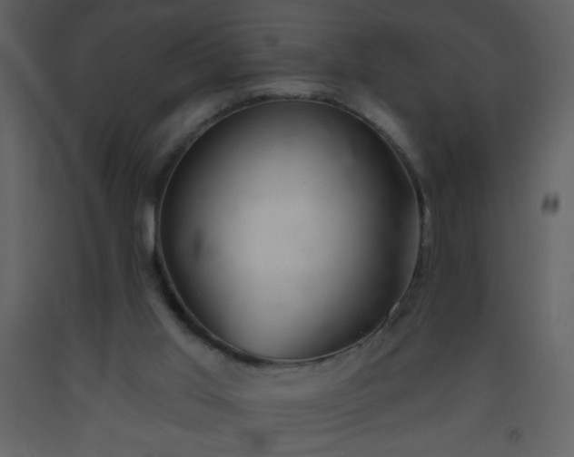 X0000093560013200710221432