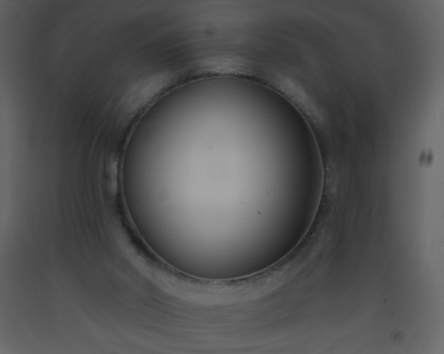 X0000093560014200710221432