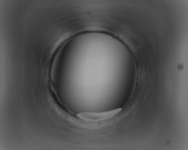 X0000093560015200710221432