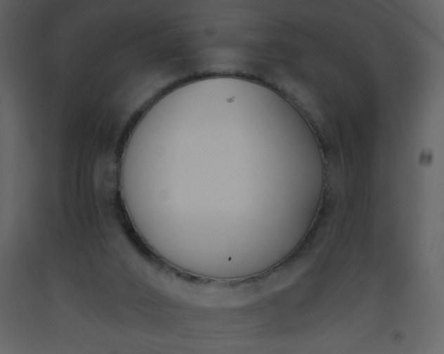 X0000093560016200710221432