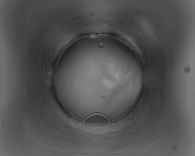 X0000093560018200710221432