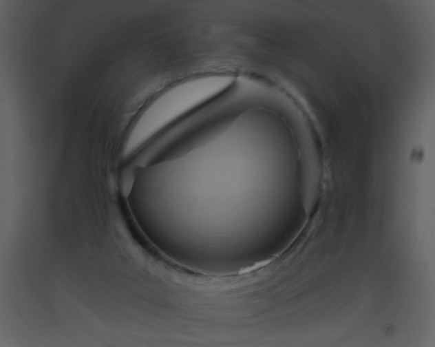 X0000093560019200710221432