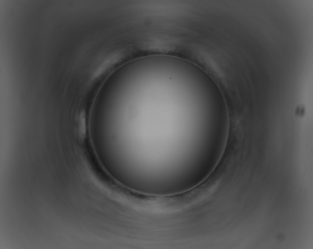 X0000093560020200710221432