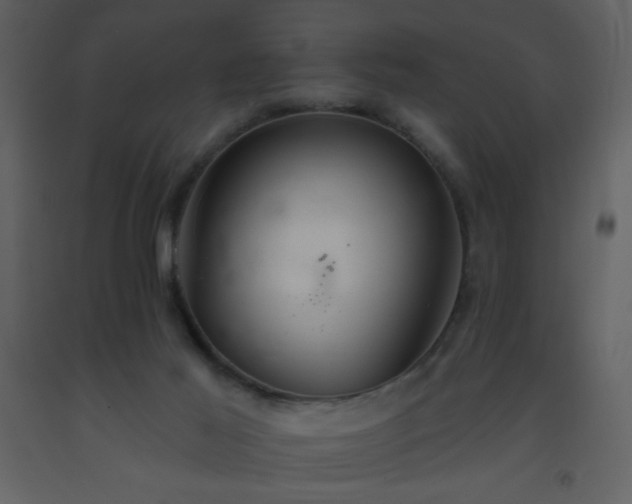 X0000093560021200710221432