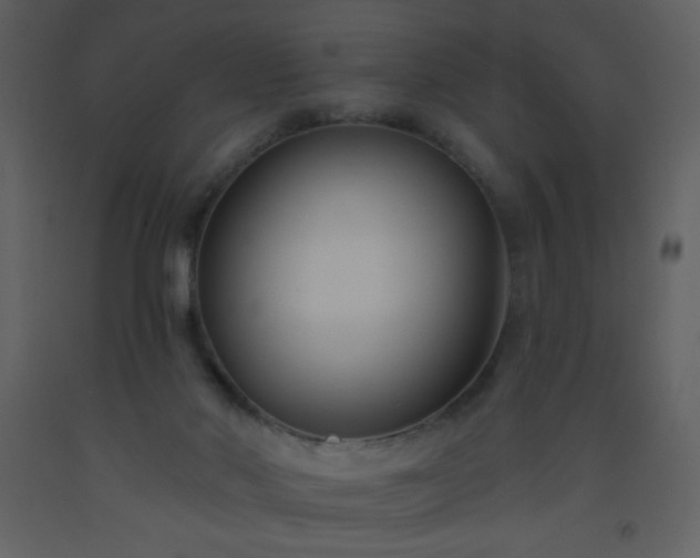 X0000093560022200710221432