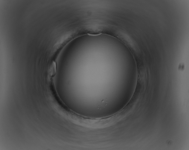 X0000093560023200710221432