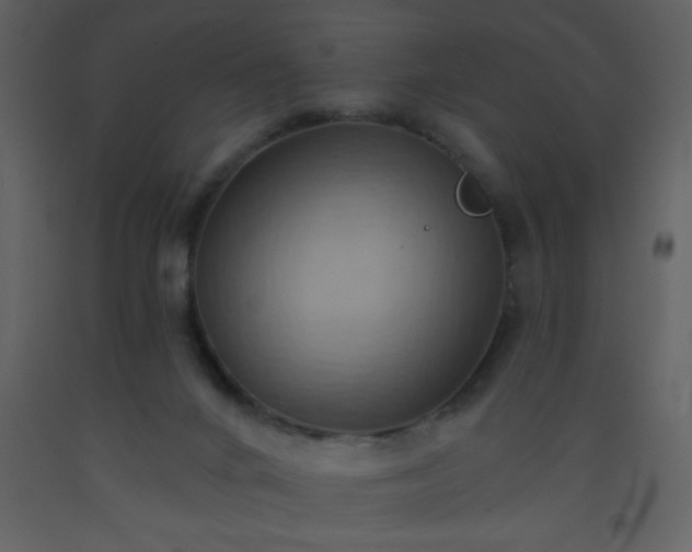 X0000093560024200710221432