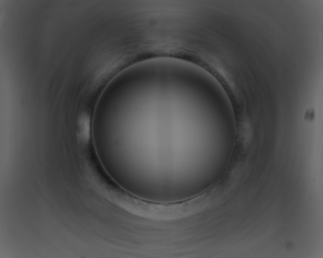 X0000093560027200710221432