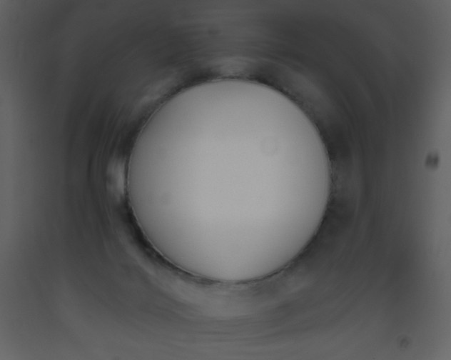 X0000093560028200710221432