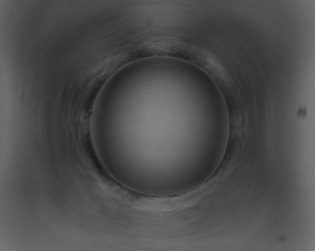 X0000093560029200710221432