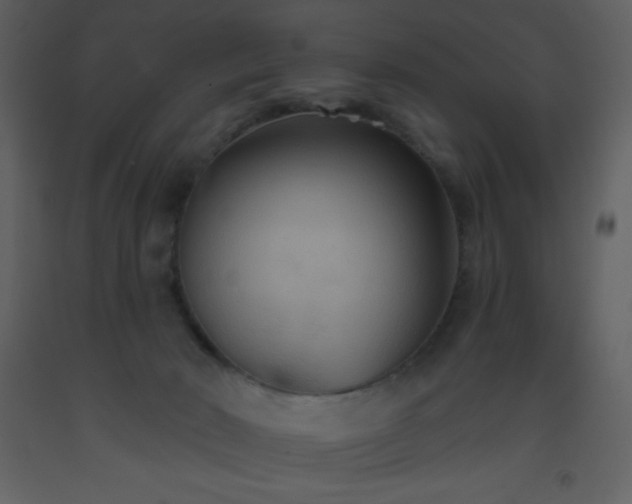 X0000093560030200710221432