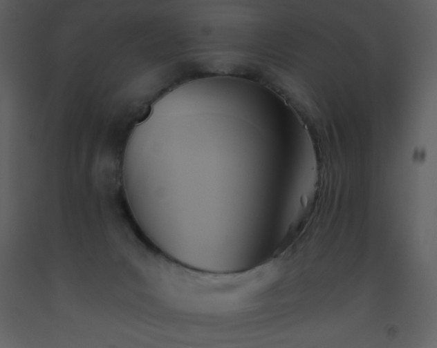 X0000093560031200710221432