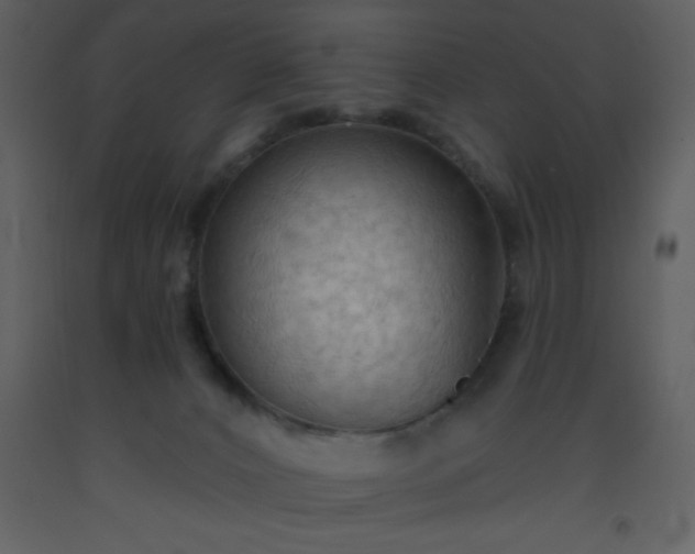 X0000093560032200710221432