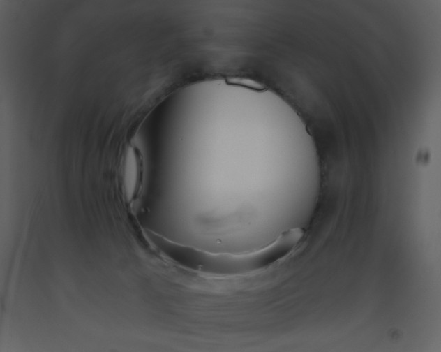 X0000093560033200710221432