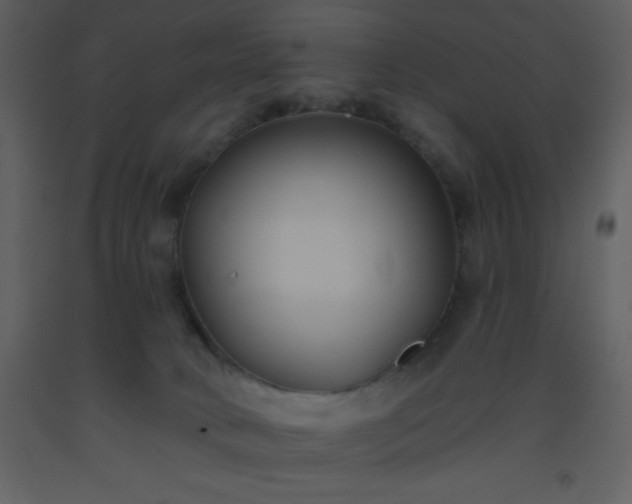 X0000093560034200710221432