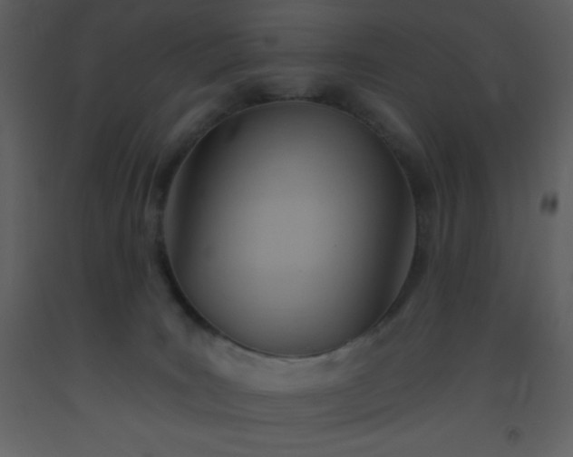 X0000093560035200710221432