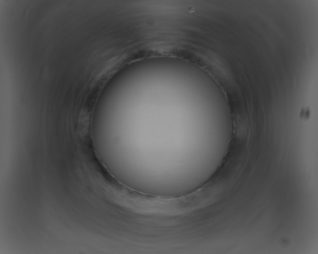 X0000093560036200710221432