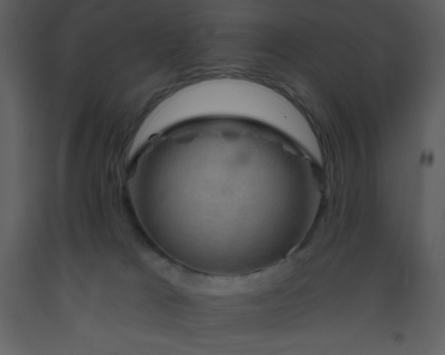 X0000093560037200710221432