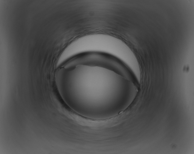 X0000093560039200710221432