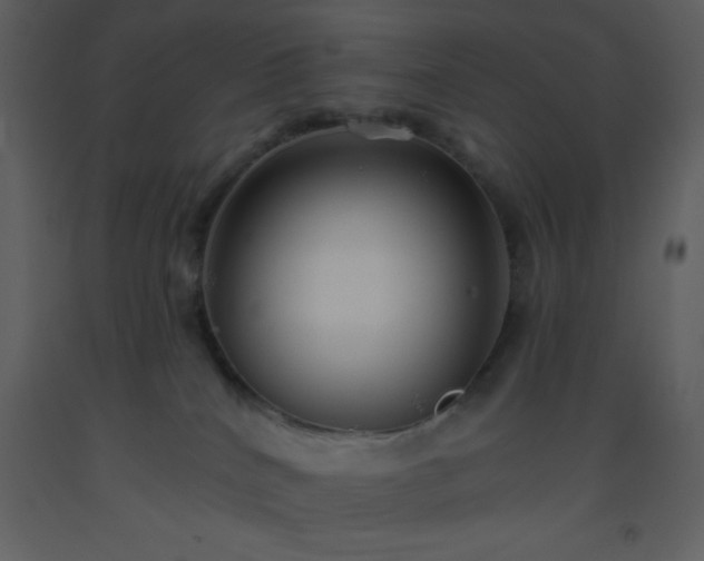 X0000093560040200710221432