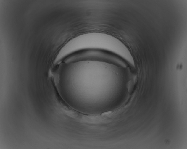 X0000093560041200710221432