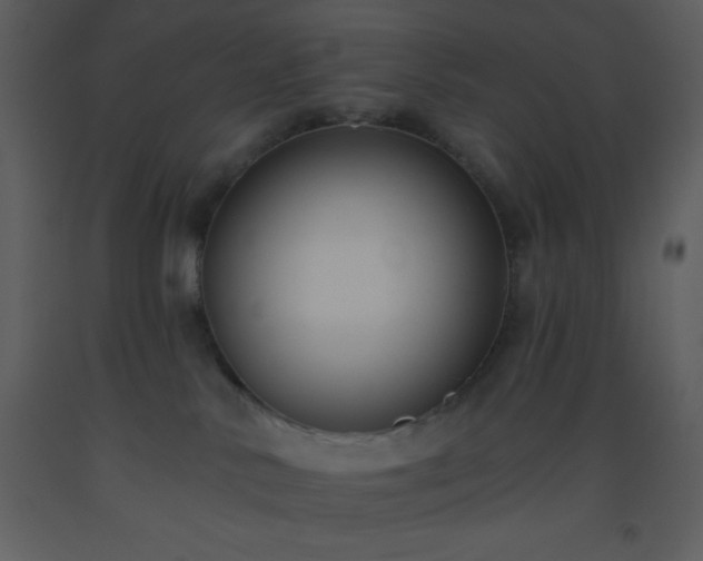 X0000093560042200710221432