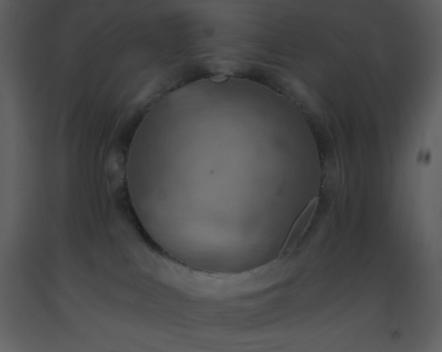 X0000093560043200710221432