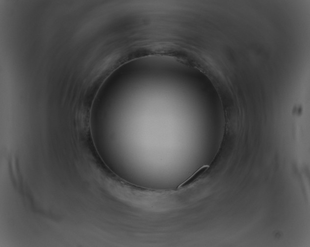 X0000093560044200710221432