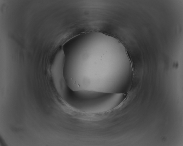 X0000093560045200710221432