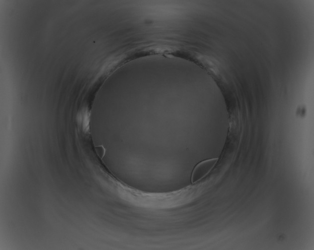 X0000093560046200710221431