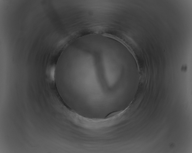 X0000093560047200710221431