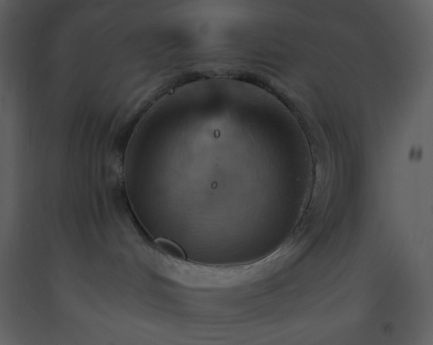 X0000093560048200710221431