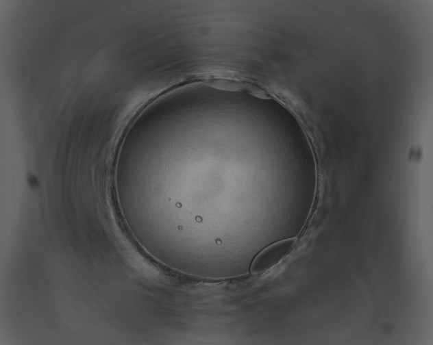 X0000093560049200710221431