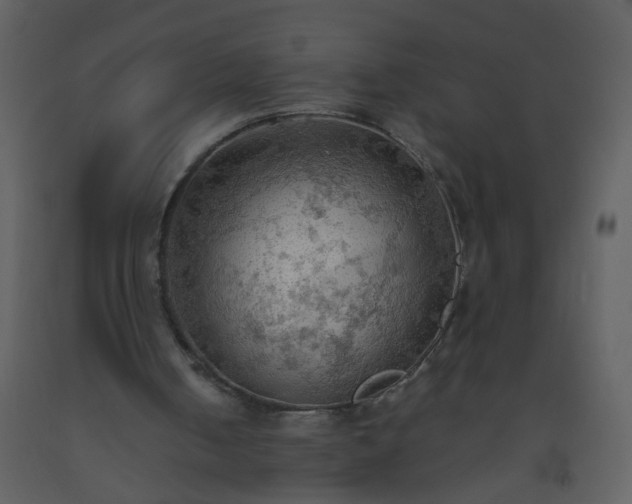 X0000093560050200710221431