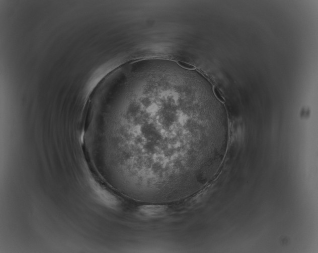 X0000093560051200710221431