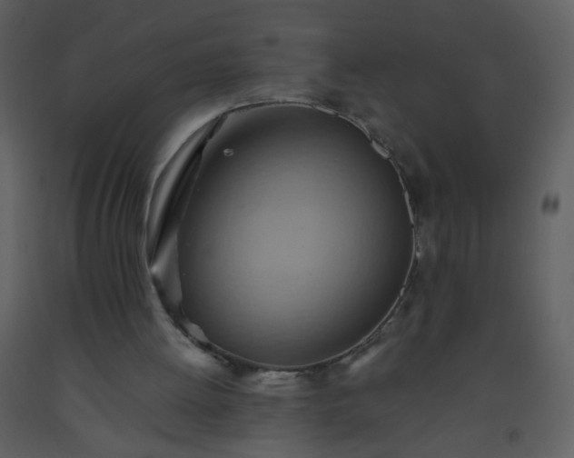 X0000093560052200710221431