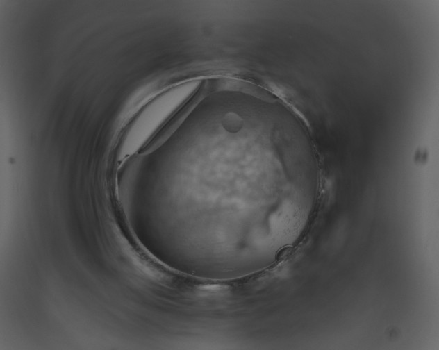 X0000093560053200710221431