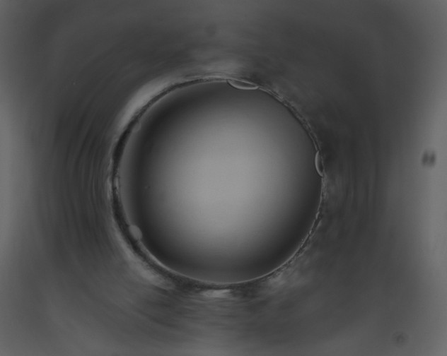 X0000093560054200710221431