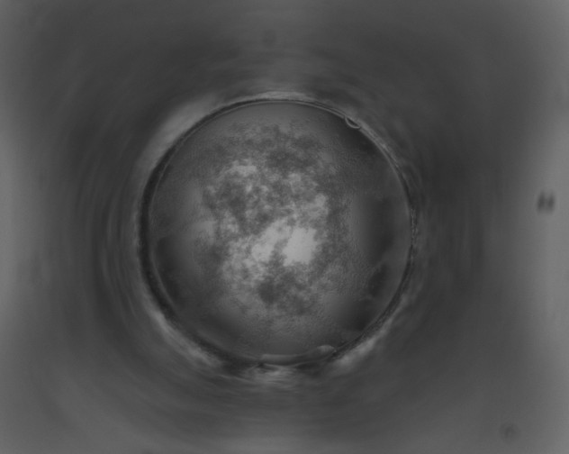 X0000093560055200710221431