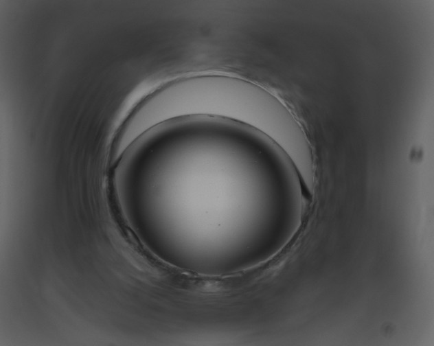 X0000093560056200710221431