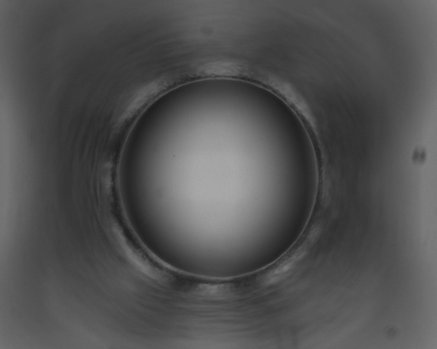 X0000093560057200710221431