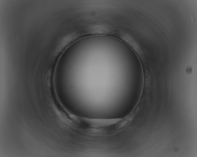 X0000093560058200710221431