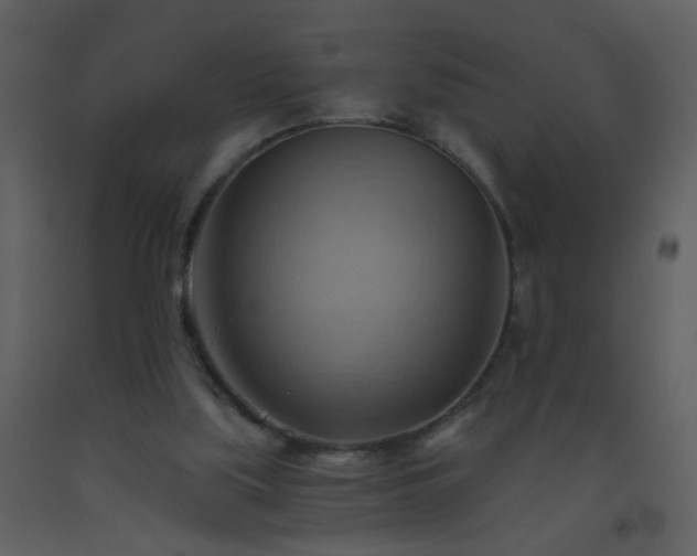 X0000093560059200710221431