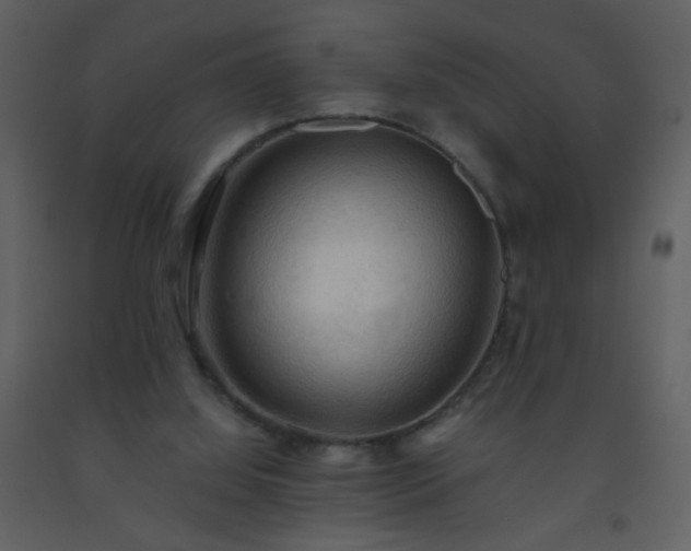 X0000093560060200710221431