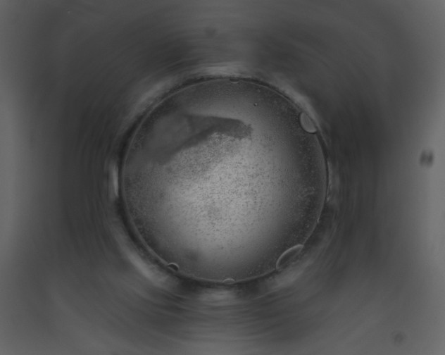 X0000093560061200710221431