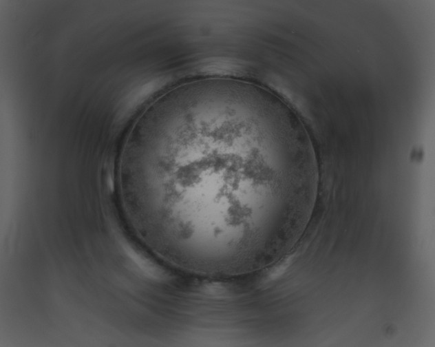 X0000093560062200710221431