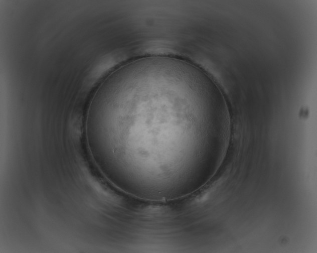 X0000093560063200710221431