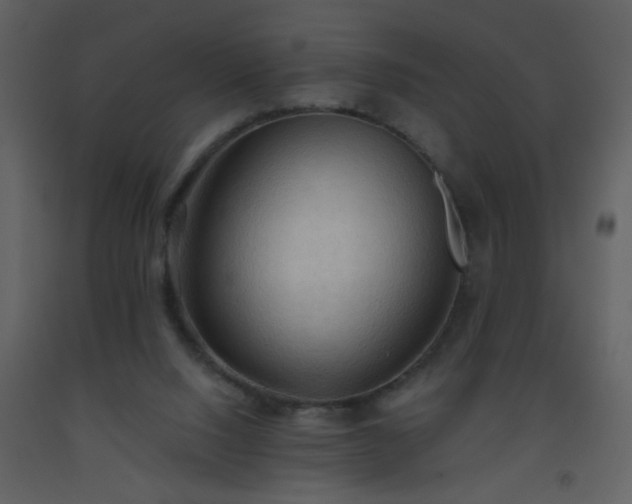 X0000093560064200710221431