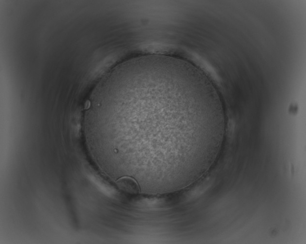 X0000093560065200710221431