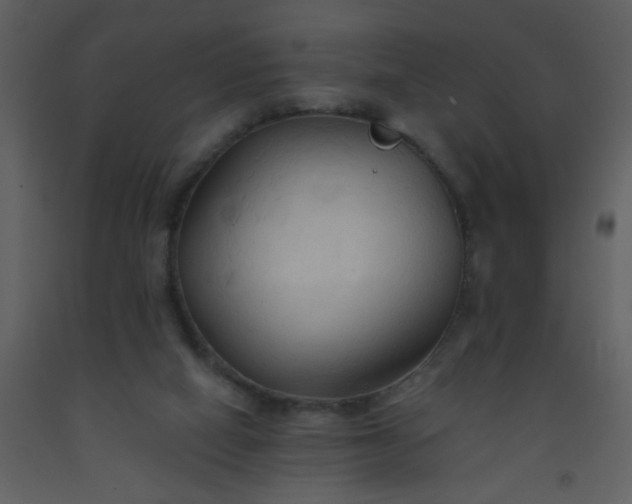 X0000093560066200710221431